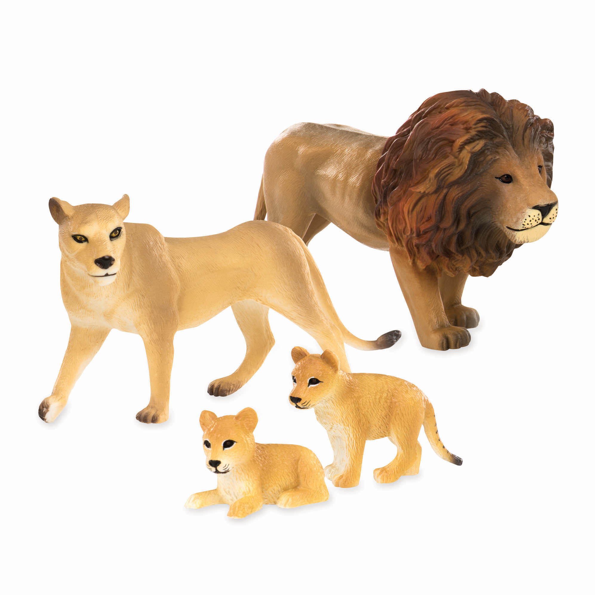 Famiglia di leoni Terra
