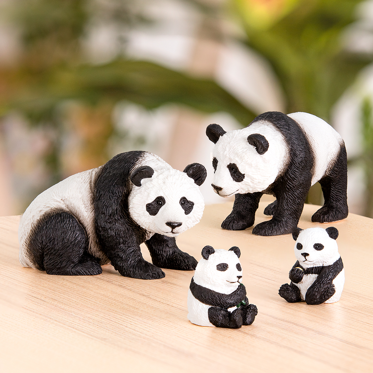 Famiglia dei panda Terra
