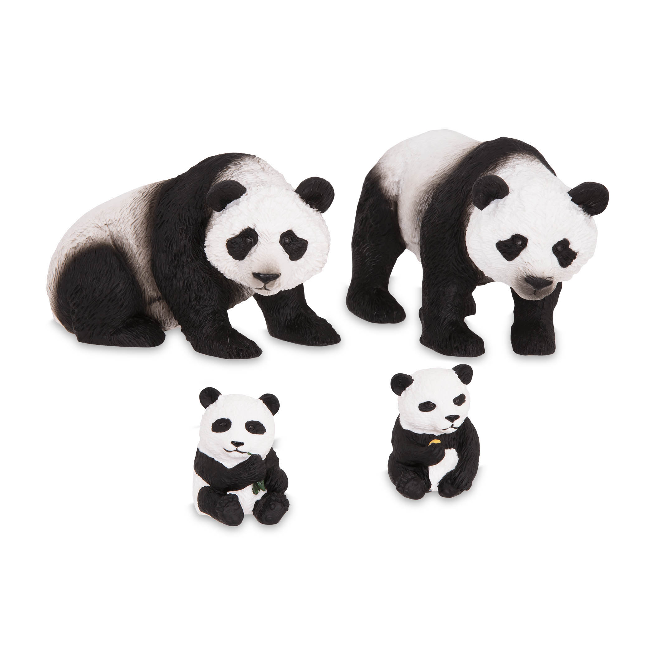 Famiglia dei panda Terra