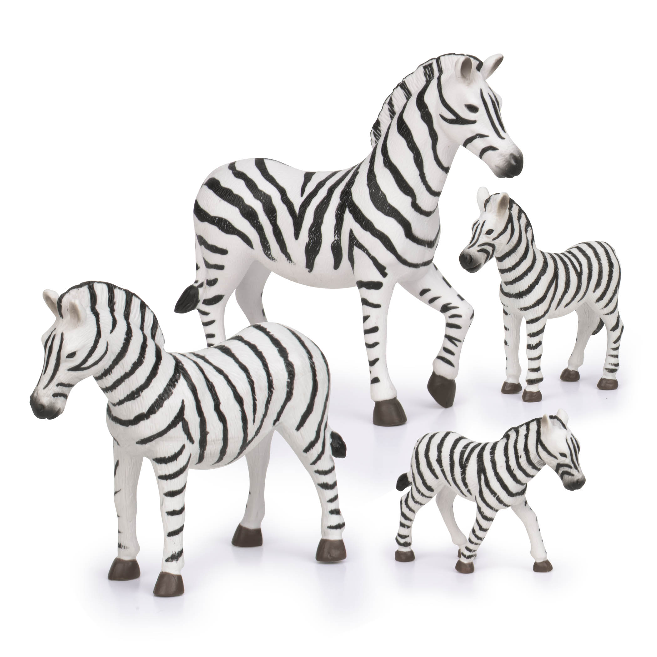 Zebra Familie Terra