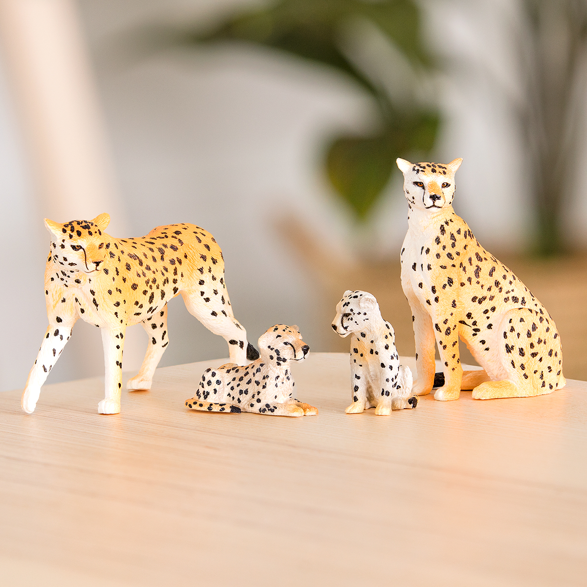 Famiglia di ghepardi Terra