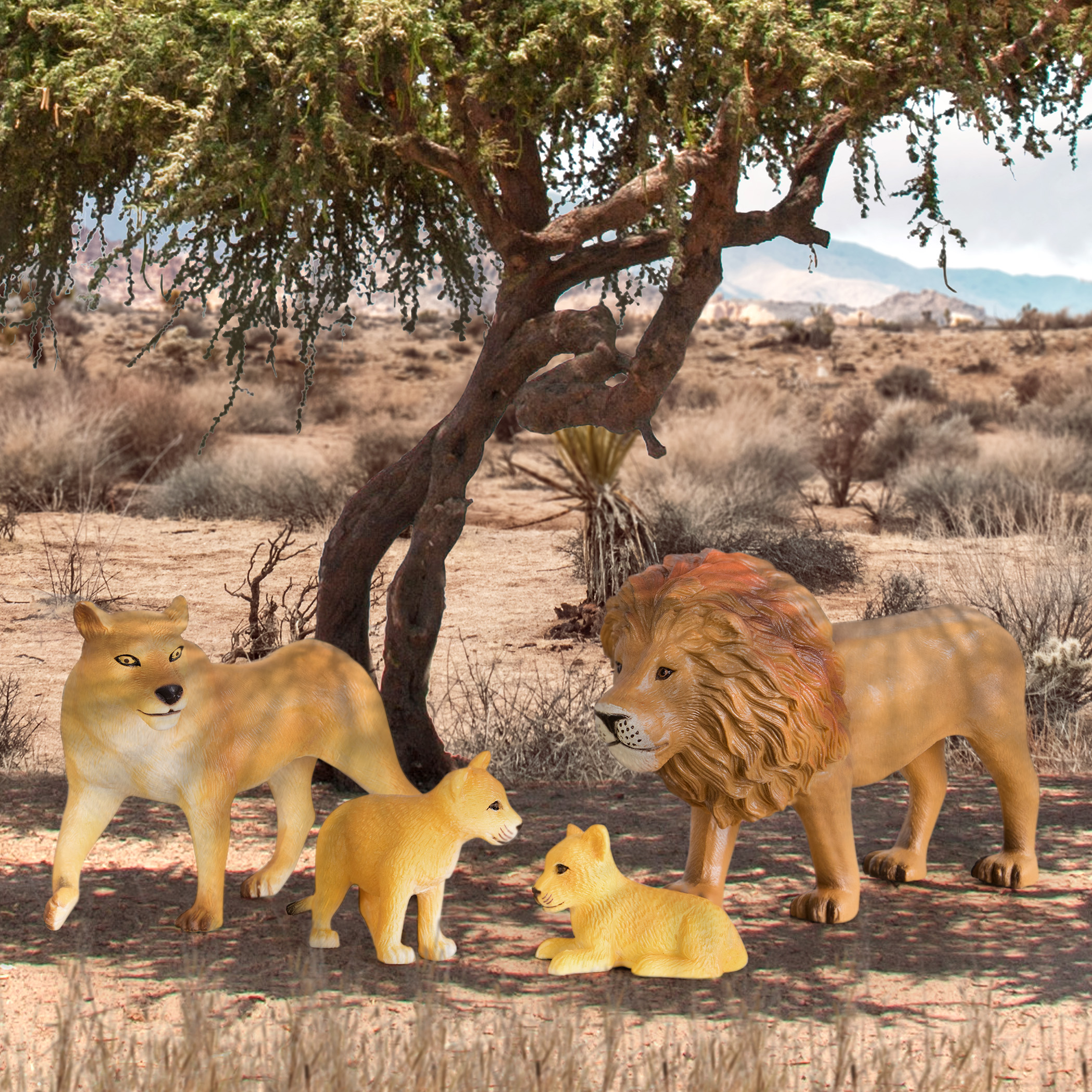 Löwen-Familie Terra